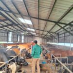 Akuntansi untuk Transaksi Jual-Beli Murabahah dalam Perspektif Keuangan Syariah